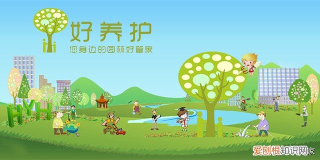 附：盘点芍药的八大花型 芍药花的寓意和象征