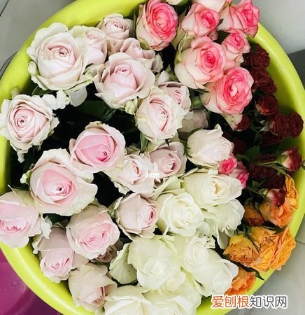 网上买的鲜花怎么醒