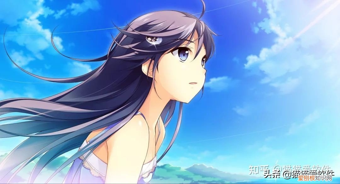 办公软件有哪些？整理出推荐频率最高的14款办公必备软件