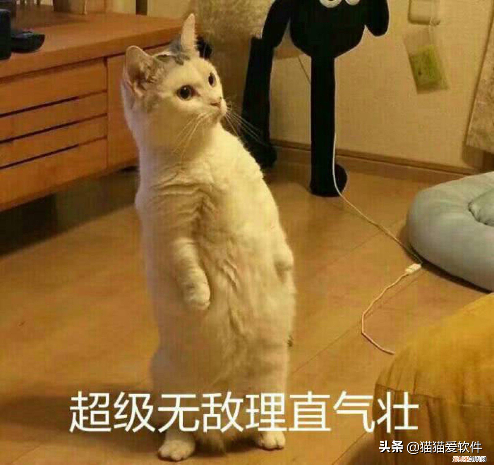 办公软件有哪些？整理出推荐频率最高的14款办公必备软件