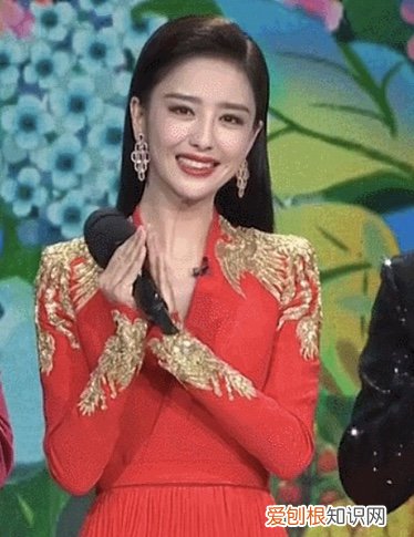 两人冷漠无互动 佟丽娅陈思诚现状