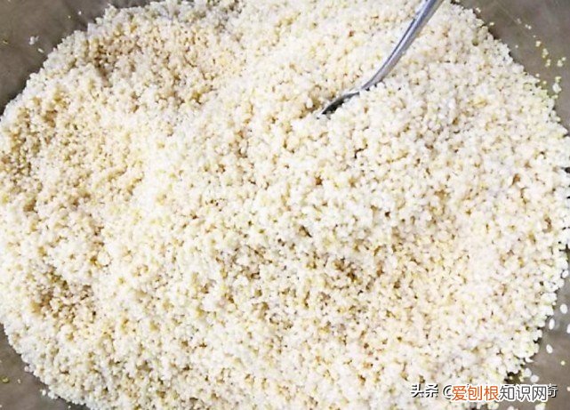 教你粽子的详细做法 粽子的制作方法步骤