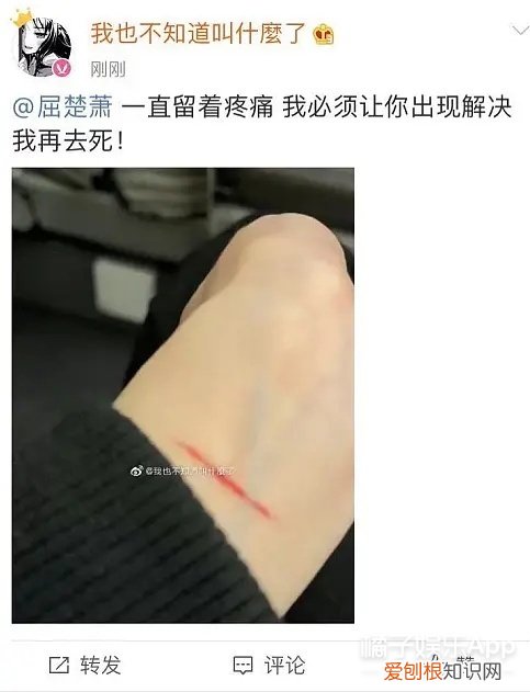 屈楚萧是怎么凉的 屈楚萧事件是什么