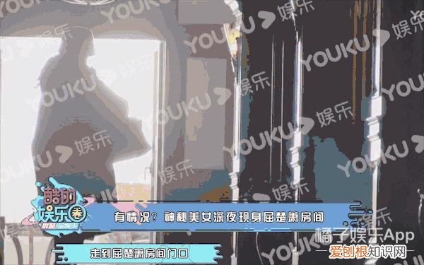 屈楚萧是怎么凉的 屈楚萧事件是什么