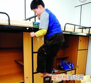 山东泰安苏刘溢现在怎么样了? 苏刘溢最新现状2022