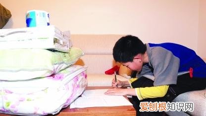 山东泰安苏刘溢现在怎么样了? 苏刘溢最新现状2022