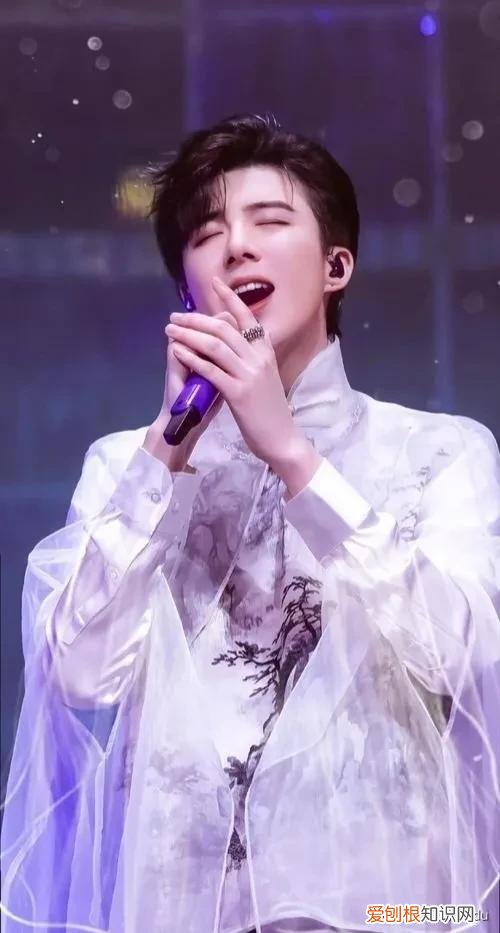 10年心酸成名史:他的成功无人能复制 刘宇宁个人资料简介