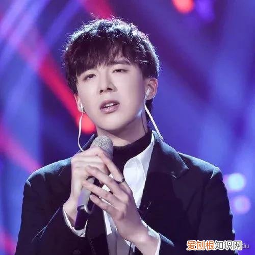 10年心酸成名史：他的成功无人能复制 刘宇宁个人资料简介