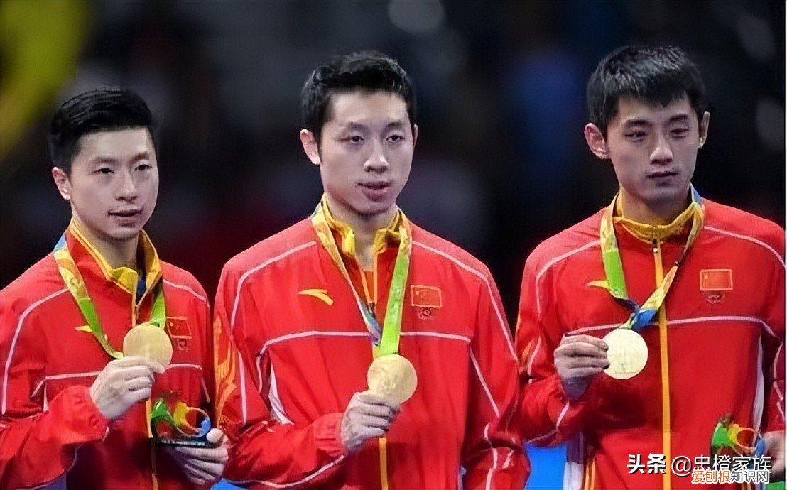 从全满贯到国乒队长 马龙个人资料