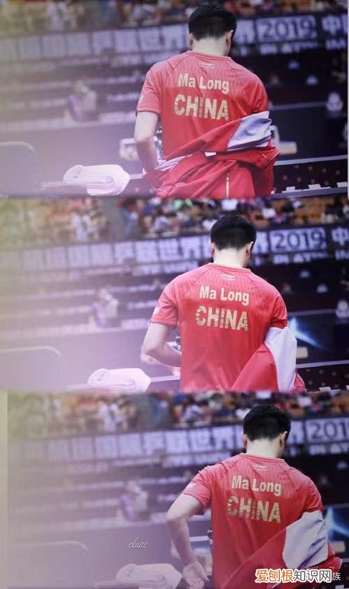 从全满贯到国乒队长 马龙个人资料