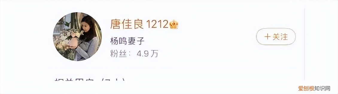 篮球儒帅杨鸣：白马少年到暴躁老哥 杨鸣个人资料图片