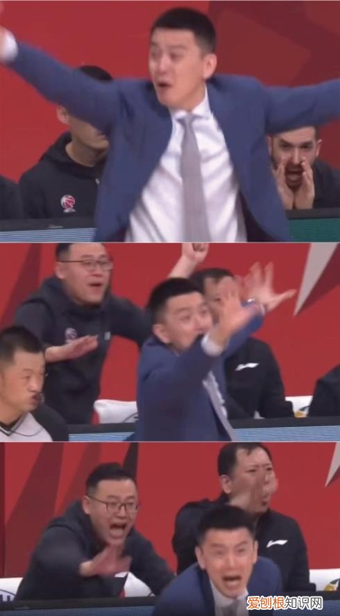 篮球儒帅杨鸣：白马少年到暴躁老哥 杨鸣个人资料图片