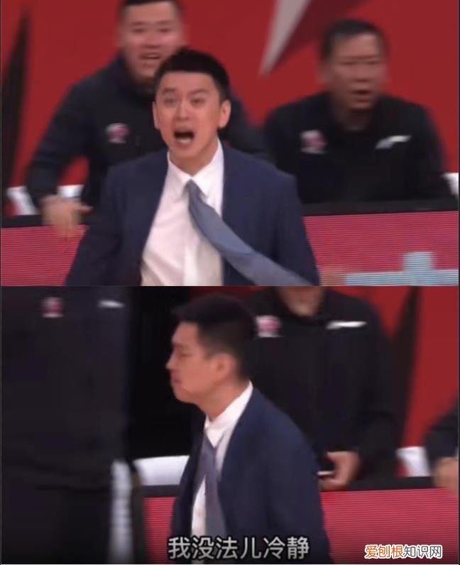 篮球儒帅杨鸣：白马少年到暴躁老哥 杨鸣个人资料图片