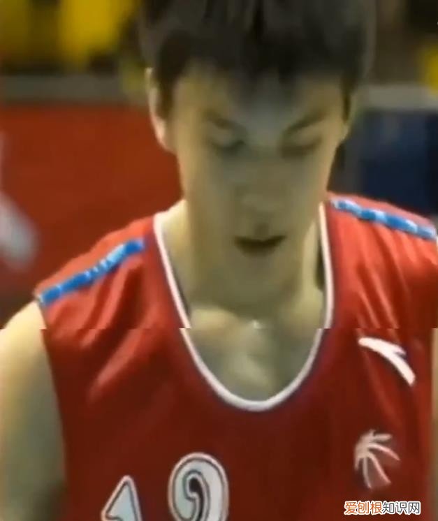 篮球儒帅杨鸣：白马少年到暴躁老哥 杨鸣个人资料图片