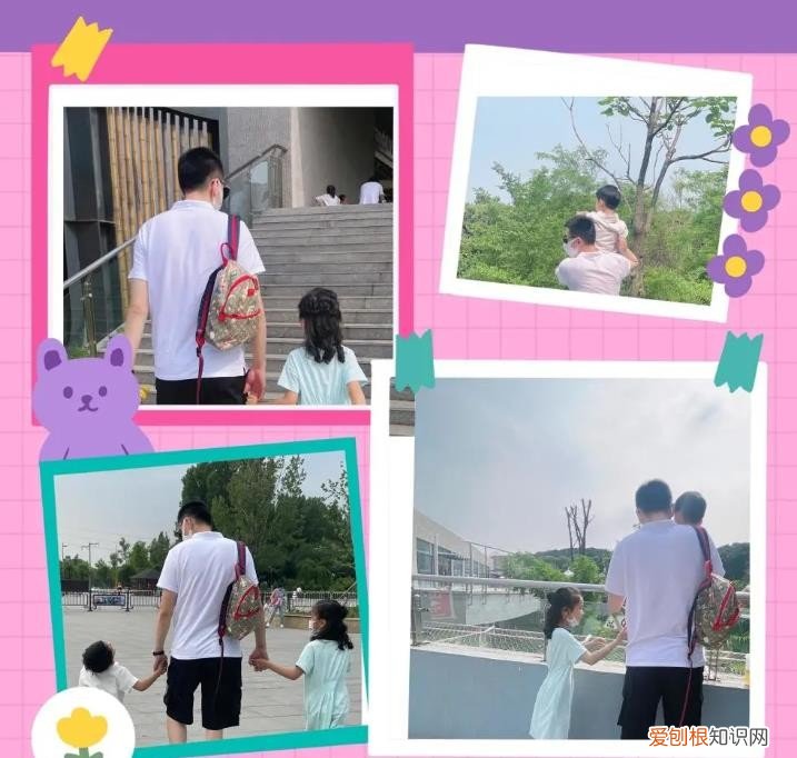 篮球儒帅杨鸣：白马少年到暴躁老哥 杨鸣个人资料图片