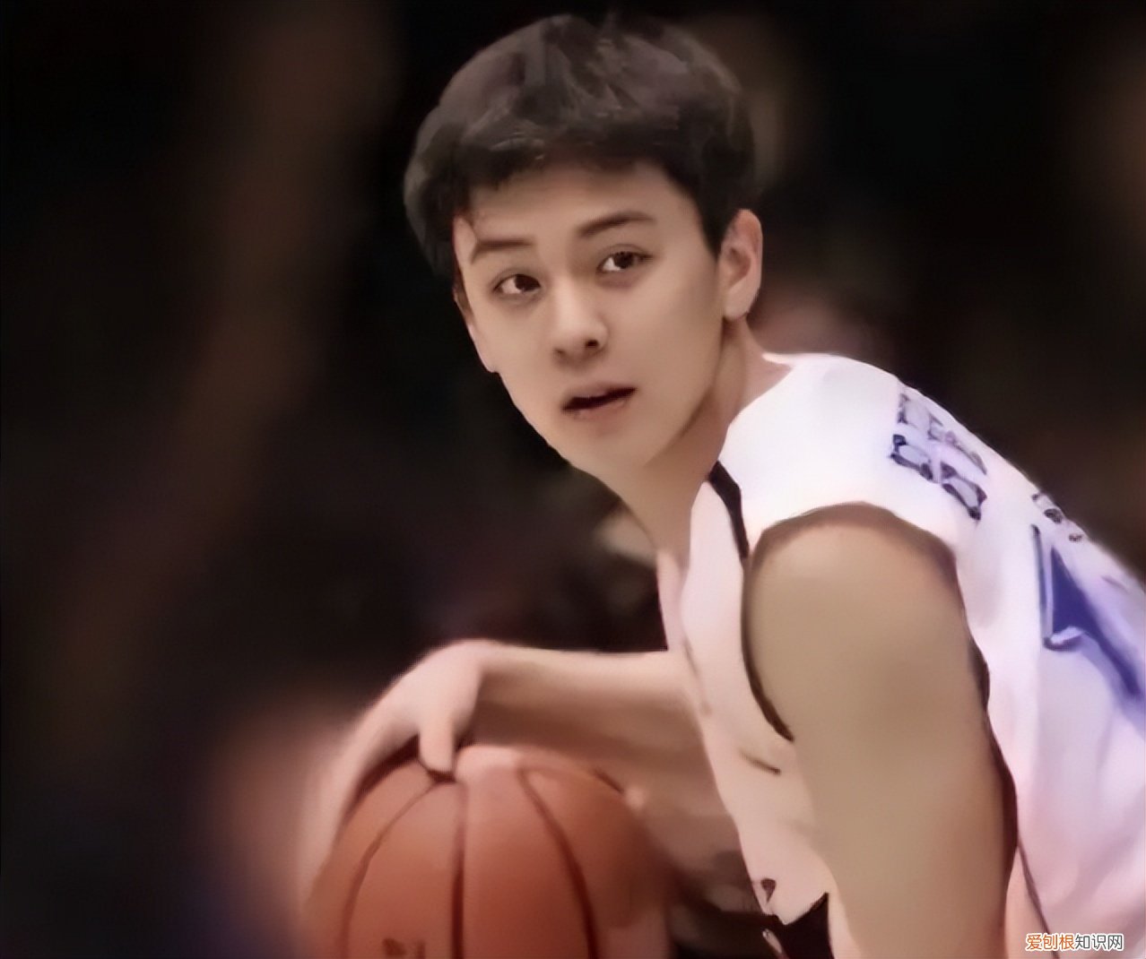 篮球儒帅杨鸣：白马少年到暴躁老哥 杨鸣个人资料图片