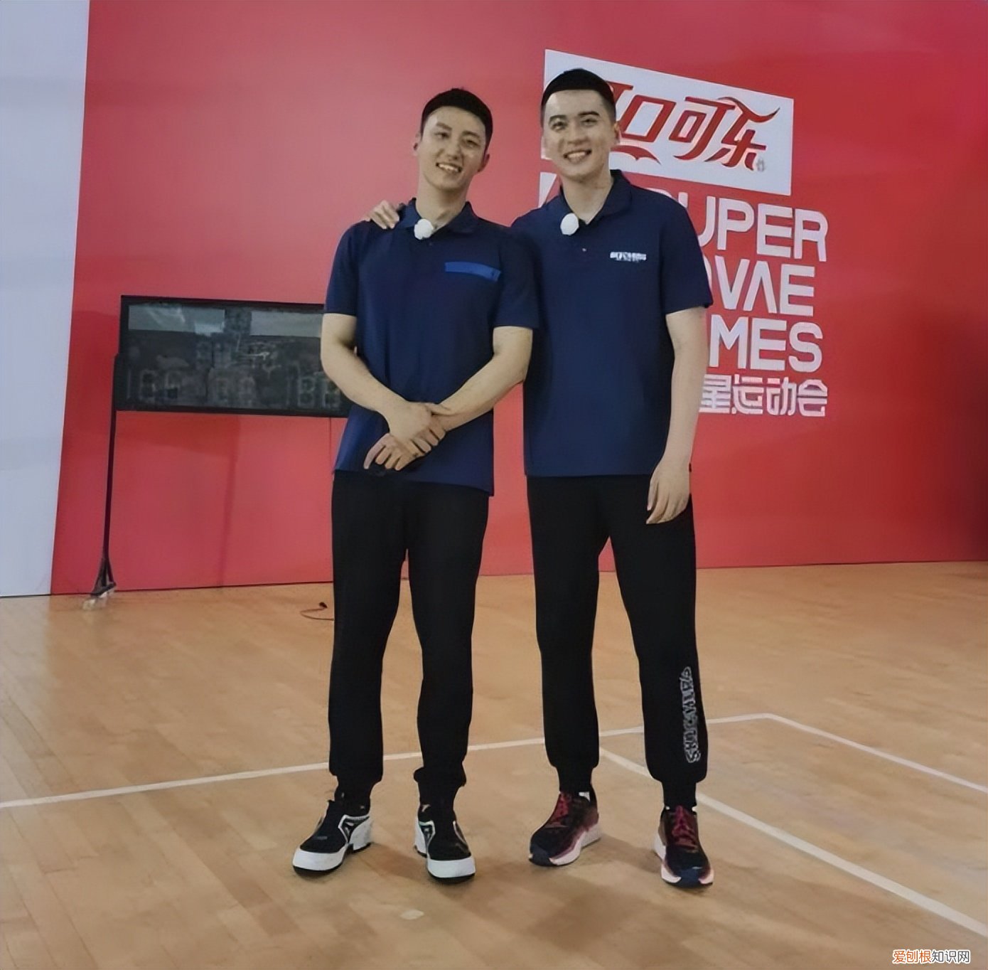 篮球儒帅杨鸣：白马少年到暴躁老哥 杨鸣个人资料图片