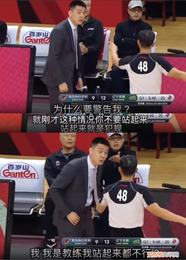 篮球儒帅杨鸣：白马少年到暴躁老哥 杨鸣个人资料图片