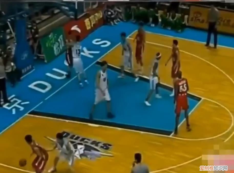 篮球儒帅杨鸣：白马少年到暴躁老哥 杨鸣个人资料图片