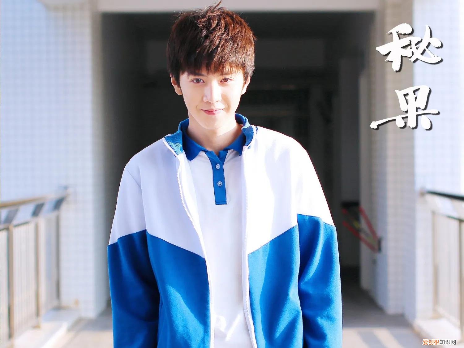 盘点陈哲远参演的电视剧 陈哲远个人资料