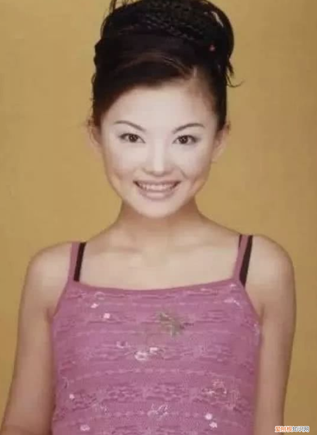 情断大学初恋，两段婚姻皆成空 李湘个人资料简介