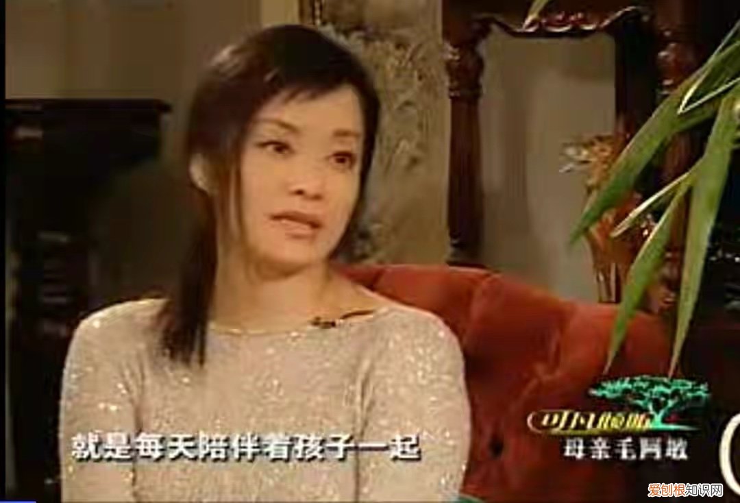 老公解直锟病逝,曾被毛阿敏倒追 毛阿敏老公个人资料