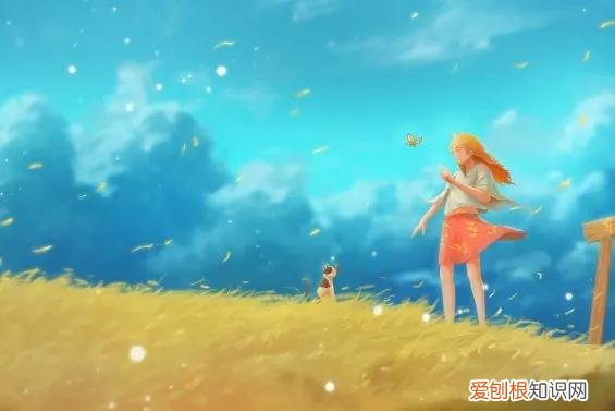 你知道这首歌背后的感情吗? 起风了买辣椒也用券