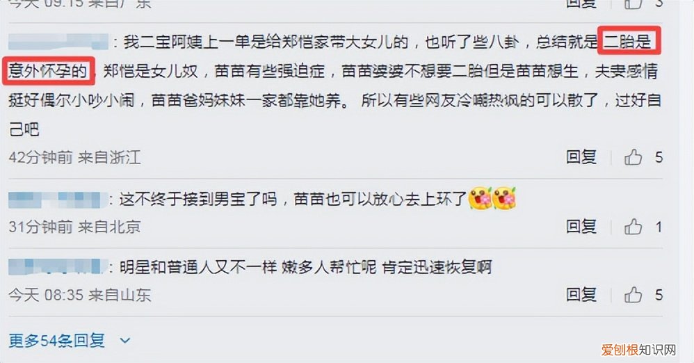 郑恺老婆苗苗原名叫什么