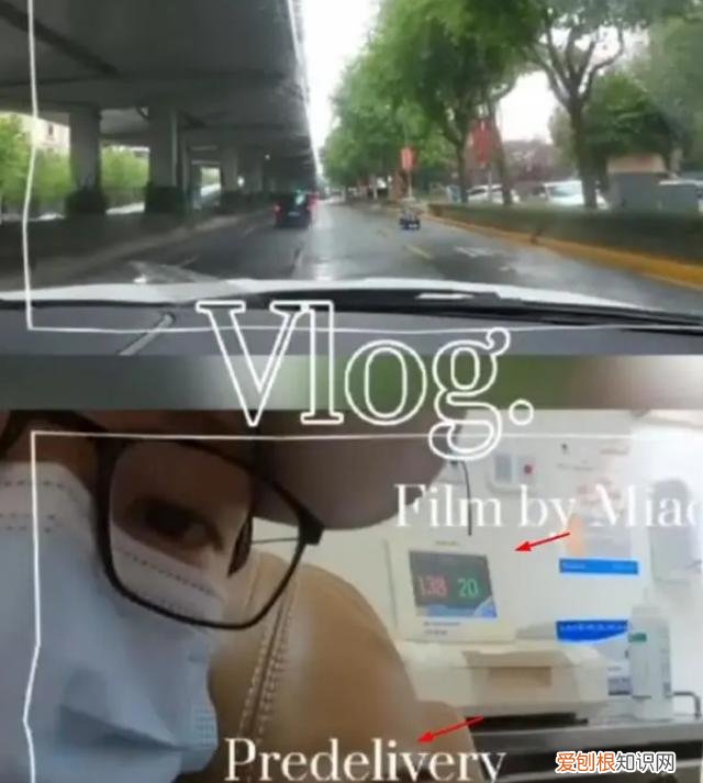 郑恺老婆苗苗原名叫什么