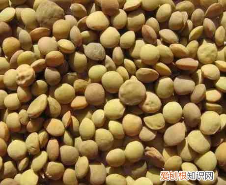 五谷杂粮是哪五谷杂粮是哪些 五谷杂粮有哪些