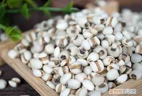 五谷杂粮是哪五谷杂粮是哪些 五谷杂粮有哪些