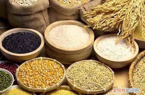 五谷杂粮是哪五谷杂粮是哪些 五谷杂粮有哪些