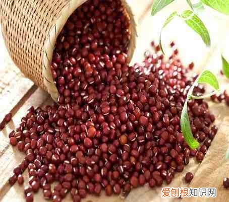 五谷杂粮是哪五谷杂粮是哪些 五谷杂粮有哪些