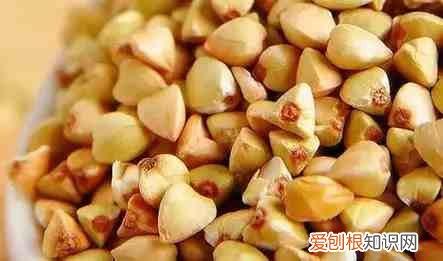 五谷杂粮是哪五谷杂粮是哪些 五谷杂粮有哪些