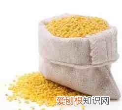 五谷杂粮是哪五谷杂粮是哪些 五谷杂粮有哪些