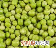 五谷杂粮是哪五谷杂粮是哪些 五谷杂粮有哪些