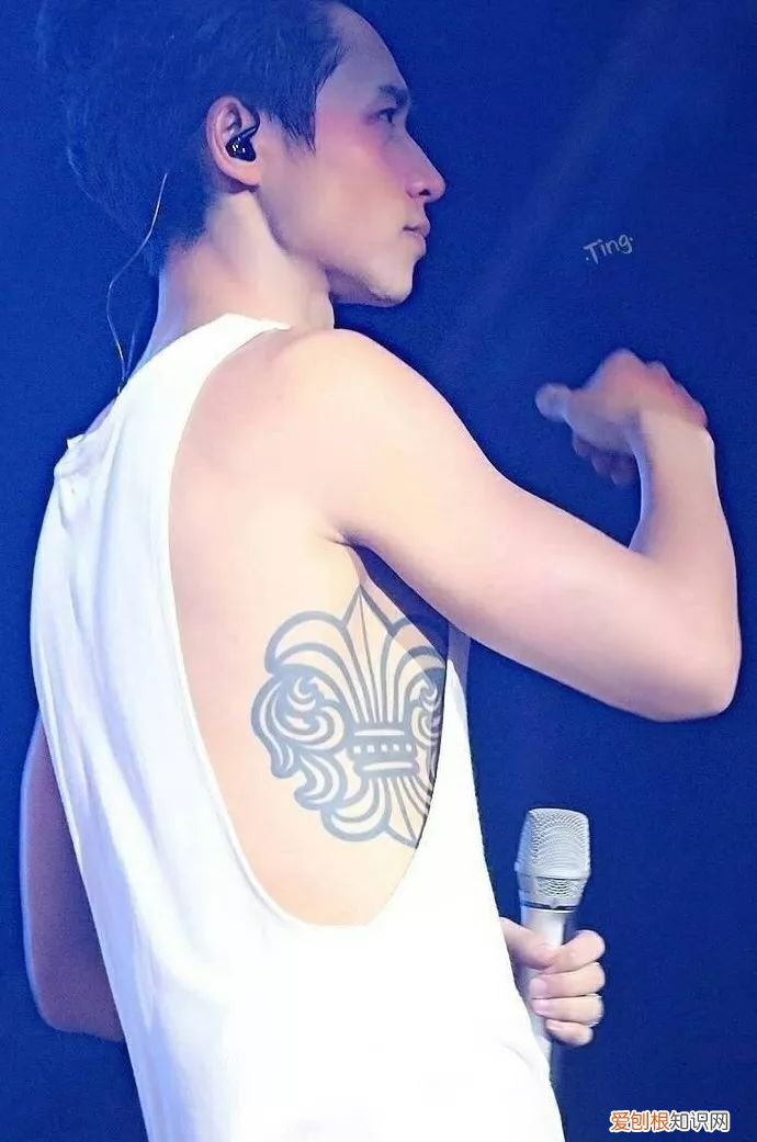 魏晨老婆是谁？魏晨老婆是初恋吗