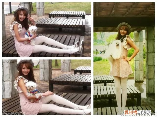 魏晨老婆是谁？魏晨老婆是初恋吗