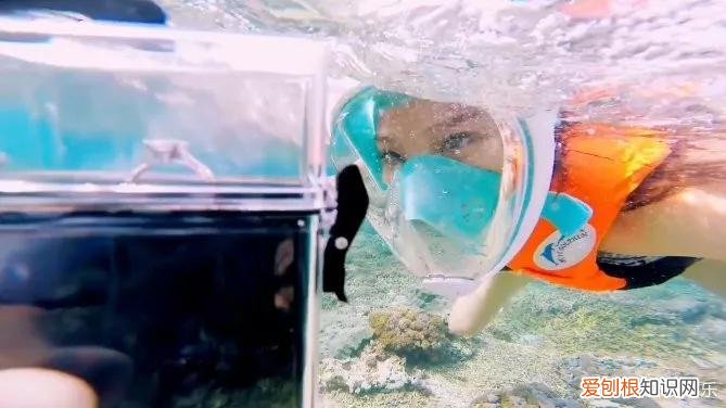 魏晨老婆是谁？魏晨老婆是初恋吗