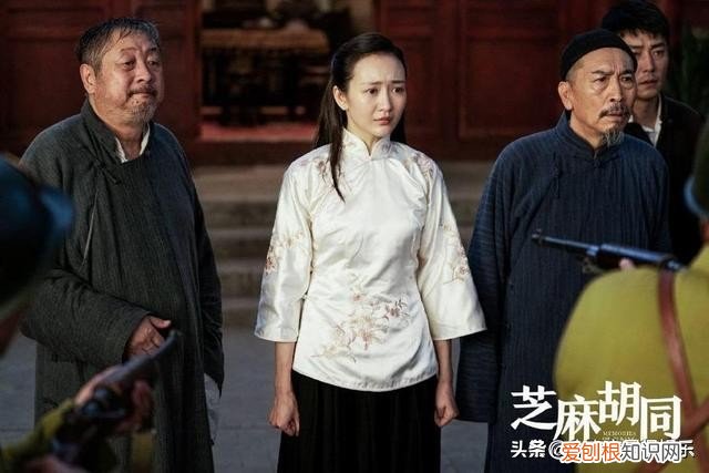 芝麻胡同严振声最后和谁在一起了？芝麻胡同剧情介绍