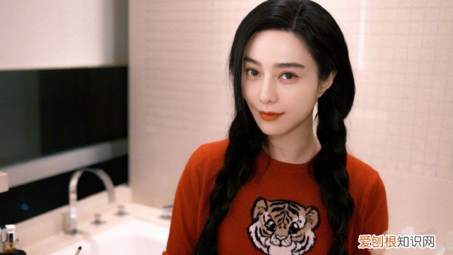 低调赴韩拍片,甘为韩星当绿叶 范冰冰个人资料和简历