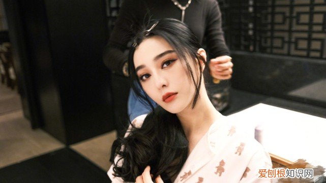 低调赴韩拍片,甘为韩星当绿叶 范冰冰个人资料和简历