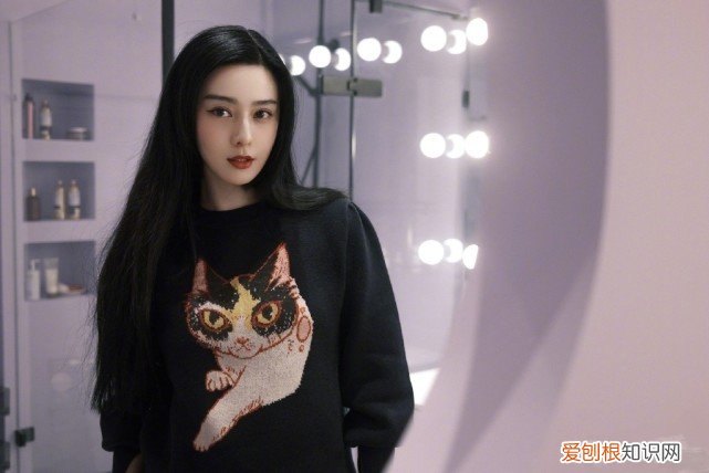 低调赴韩拍片,甘为韩星当绿叶 范冰冰个人资料和简历