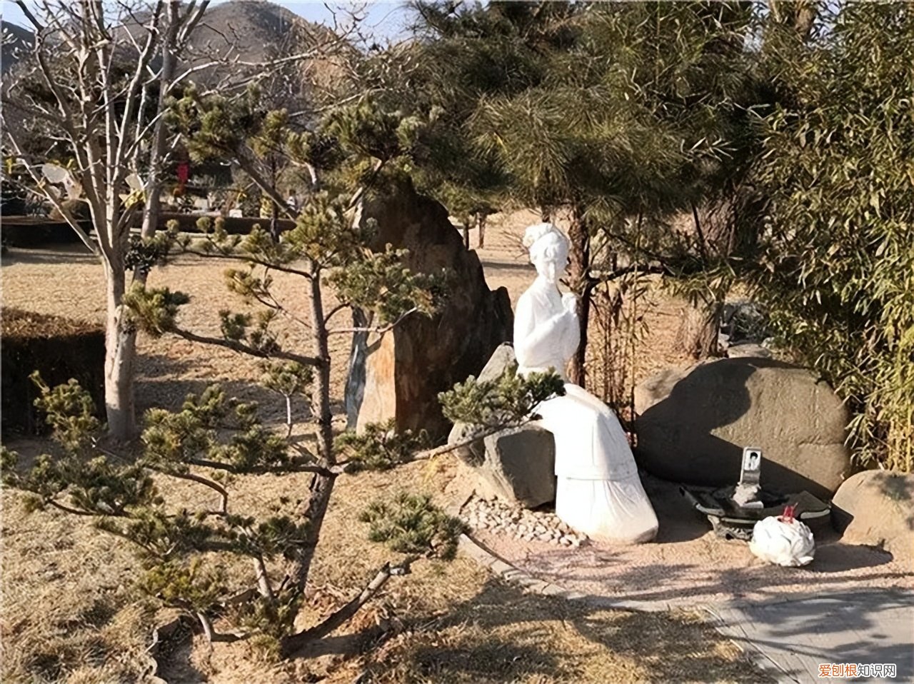 陈晓旭什么原因怎么走的？去世时反复哭喊妈妈