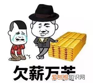 12333劳动局电话24小时吗？大多数地区是24小时人工服务