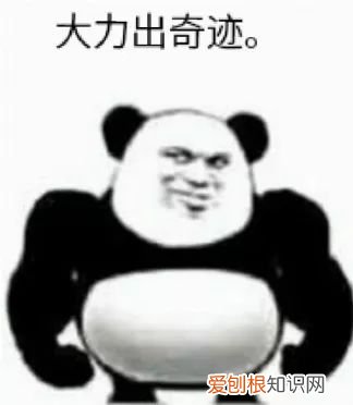 独家秘籍教你一杆清台 台球的基本知识与打法