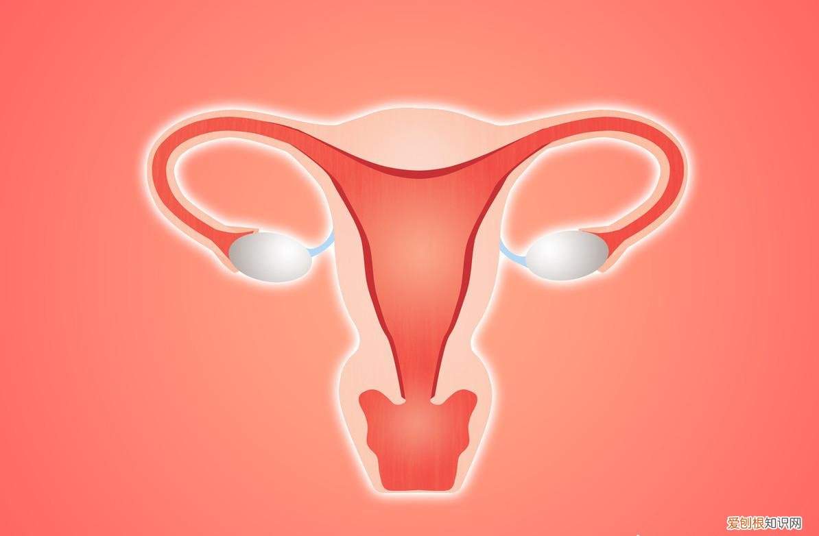 取环什么时候取最好？来听听专家怎么说