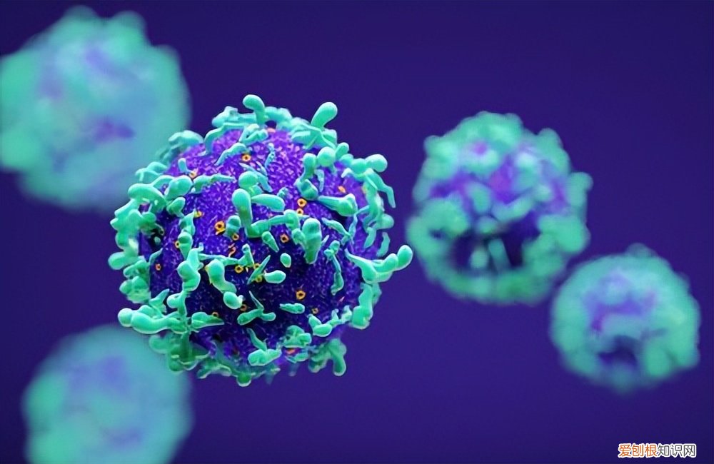 取环什么时候取最好？来听听专家怎么说