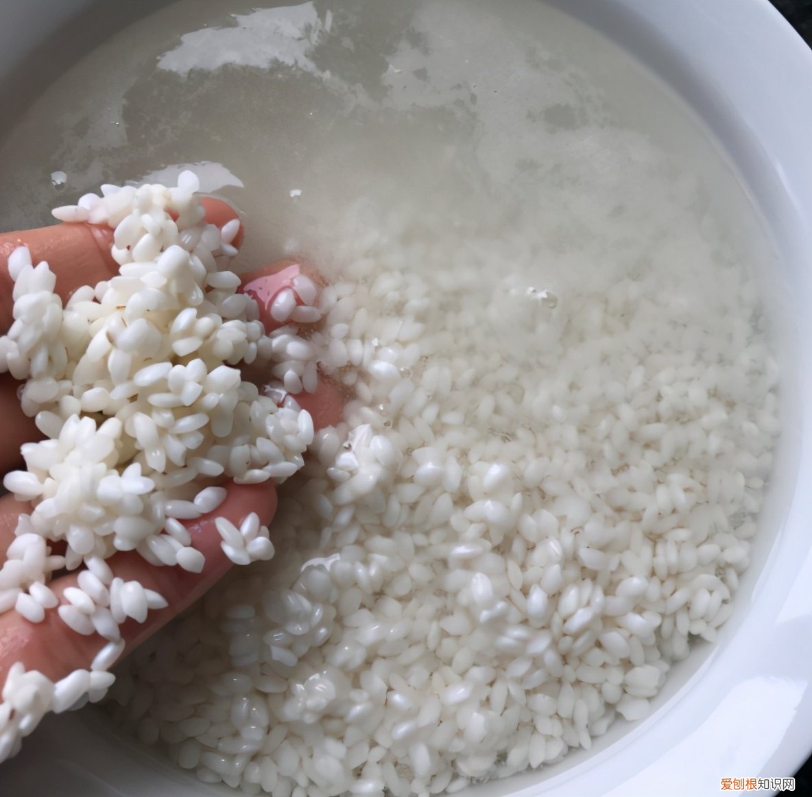 糯米泡12个小时时间太长不？糯米需要泡多久