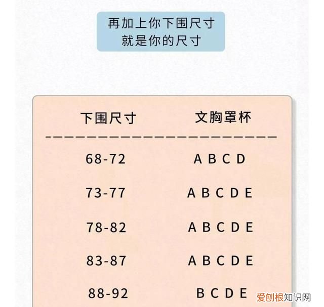 女生胸部冷知识,8条胸部冷知识你都知道吗